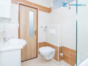 Pronájem bytu 1+kk, Frýdek-Místek, J. E. Purkyně, 27 m2