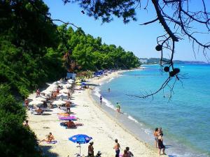 Prodej rodinného domu, Vourvourou, Sithonia, Chalkidiki, Řecko, 115 m2