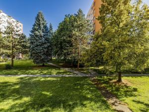 Pronájem bytu 2+kk, České Budějovice - České Budějovice 3, Puklicova, 36 m2
