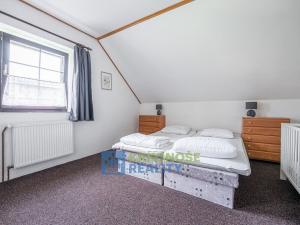 Prodej chaty, Černý Důl, 230 m2