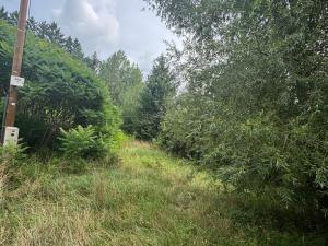Prodej pozemku, Hrubá Skála - Doubravice, 2827 m2