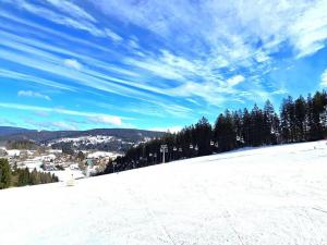 Prodej pozemku, Jestřabí v Krkonoších, 959 m2