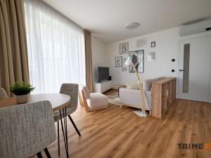 Pronájem bytu 2+kk, Ostrava - Moravská Ostrava, F. X. Riepla, 58 m2