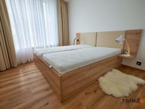 Pronájem bytu 2+kk, Ostrava - Moravská Ostrava, F. X. Riepla, 58 m2