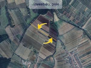 Prodej pole, Malá Vrbka, 3407 m2
