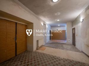 Prodej rodinného domu, Čermákovice, 573 m2