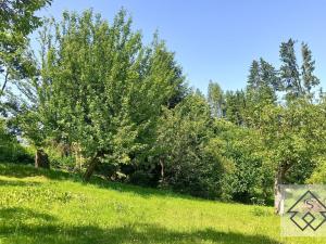 Prodej chaty, Jablonné nad Orlicí, U Vrby, 22 m2