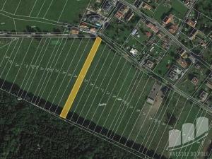 Prodej pole, Dolce, 31522 m2