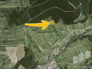 Prodej louky, Javorník, 21839 m2