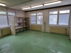 Pronájem obchodního prostoru, Břeclav, Husova, 124 m2