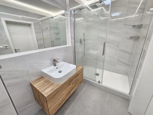 Pronájem bytu 2+kk, Brno, Řípská, 59 m2