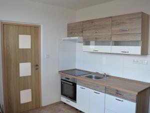 Pronájem bytu 1+1, Lovosice, Krátká, 43 m2