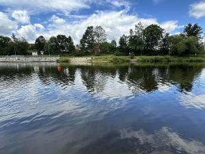 Prodej louky, Týn nad Vltavou, Hněvkovice na pravém břehu Vlt., 1648 m2