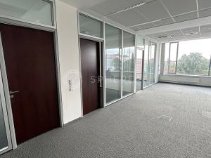 Pronájem kanceláře, Brno - Žabovřesky, Veveří, 1129 m2