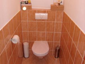 Pronájem bytu 2+1, Vysoké Mýto - Pražské Předměstí, Mánesova, 74 m2