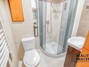 Pronájem bytu 1+kk, Karviná, Ve Svahu, 21 m2
