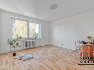 Pronájem bytu 1+1, Karviná, Dělnická, 38 m2