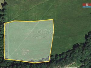 Prodej louky, Jiřetín pod Jedlovou - Rozhled, 15674 m2