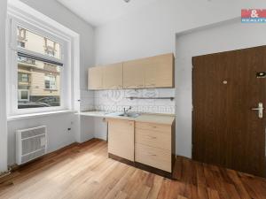 Prodej bytu 2+1, Ústí nad Labem - Ústí nad Labem-centrum, Thomayerova, 53 m2