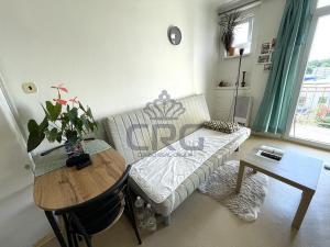 Pronájem bytu 1+kk, Brno - Trnitá, Mlýnská, 23 m2