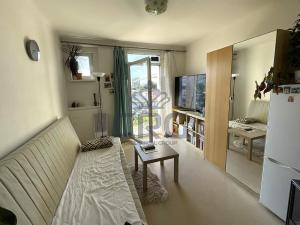 Pronájem bytu 1+kk, Brno - Trnitá, Mlýnská, 23 m2
