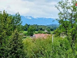 Pronájem bytu 1+kk, Český Těšín, Čáslavská, 32 m2