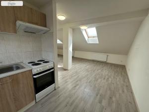 Pronájem bytu 1+kk, Brno - Husovice, Hálkova, 66 m2