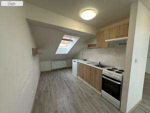 Pronájem bytu 1+kk, Brno - Husovice, Hálkova, 66 m2