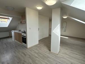 Pronájem bytu 1+kk, Brno - Husovice, Hálkova, 66 m2