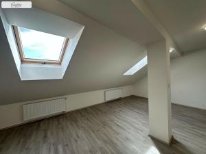 Pronájem bytu 1+kk, Brno - Husovice, Hálkova, 66 m2
