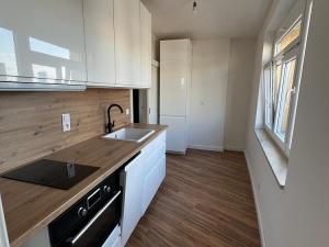 Prodej bytu 1+1, Praha - Veleslavín, Veleslavínská, 54 m2
