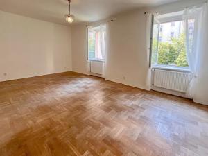 Pronájem bytu 1+1, Brno, Gorkého, 45 m2