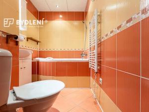 Prodej bytu 2+1, Ústí nad Labem, Větrná, 61 m2