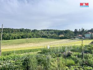 Prodej pozemku pro bydlení, Dětkovice, 3897 m2