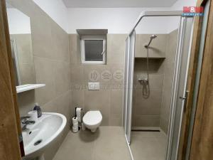 Pronájem bytu 1+kk, Ostrava - Vítkovice, Lidická, 30 m2