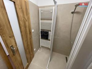 Pronájem bytu 1+kk, Ostrava - Vítkovice, Lidická, 30 m2