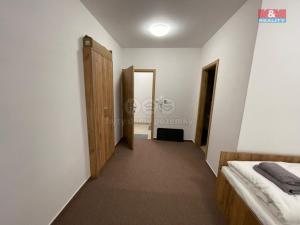Pronájem bytu 1+kk, Ostrava - Vítkovice, Lidická, 30 m2