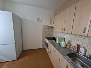 Pronájem bytu 1+1, Olomouc, Lazecká, 32 m2