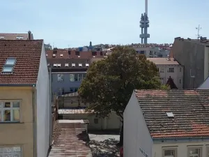 Pronájem bytu 1+1, Praha - Žižkov, Hartigova, 40 m2