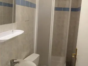 Pronájem bytu 1+1, Praha - Žižkov, Hartigova, 40 m2