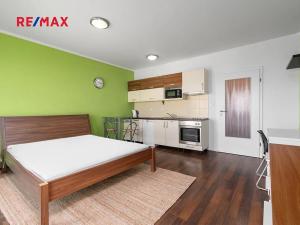 Pronájem bytu 1+kk, Plzeň, Veverkova, 29 m2