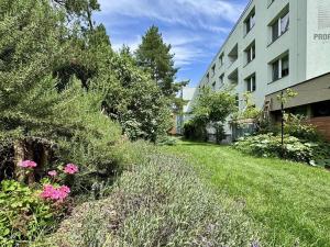 Prodej bytu 3+kk, Brno, Jožky Jabůrkové, 62 m2