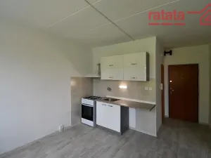 Pronájem bytu 1+1, Jirkov, Hornická, 36 m2