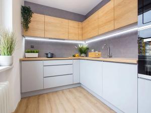 Pronájem bytu 2+1, Ostrava, Ľudovíta Štúra, 55 m2