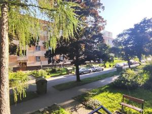 Pronájem bytu 1+kk, Ostrava, Kosmonautů, 22 m2