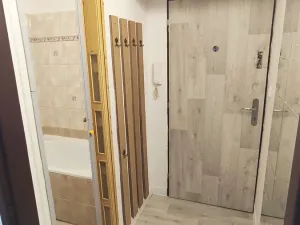 Pronájem bytu 1+kk, Ostrava, Kosmonautů, 22 m2