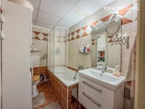Pronájem bytu 2+kk, Praha - Žižkov, Rečkova, 48 m2