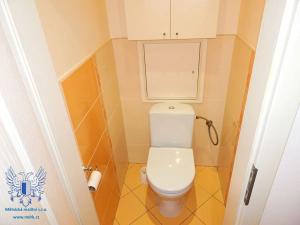 Pronájem bytu 2+1, Mělník, Dukelská, 50 m2