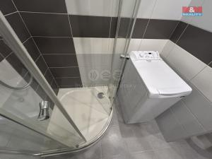 Pronájem bytu 1+1, Ústí nad Labem - Všebořice, 45 m2