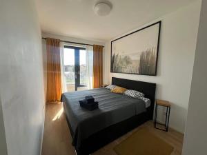 Pronájem bytu 2+kk, Praha, Perucká, 46 m2
